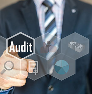 SACAS-Ireland-Home-Audit SACAS-Ireland-Home-Audit